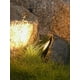 thumbnail image 4 of Fiudx Lámpara de Piedra de Simulación Solar, Lámpara de Patio, Lámpara Decorativa para Jardín Al Aire Libre, 4 of 6