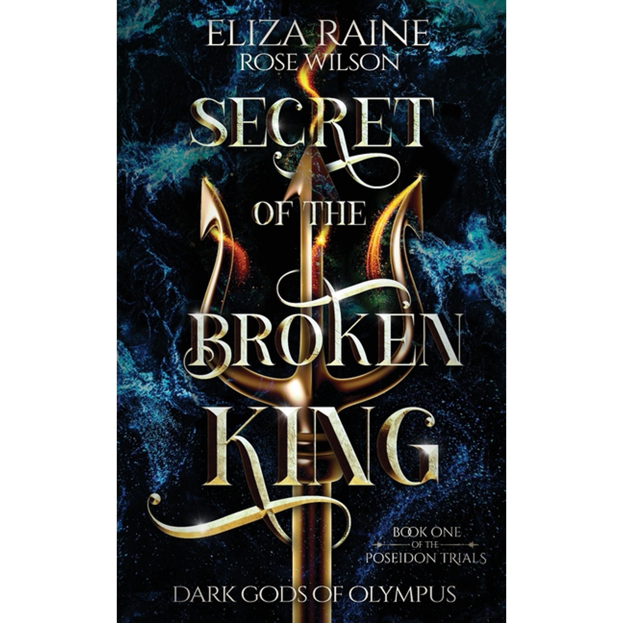 Secret of the Broken King (Paperback)