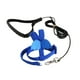 thumbnail image 4 of Arnés y correa para pájaros, cuerda de tracción ajustable antimordeduras para entrenamiento de aves. Azul, 4 of 9