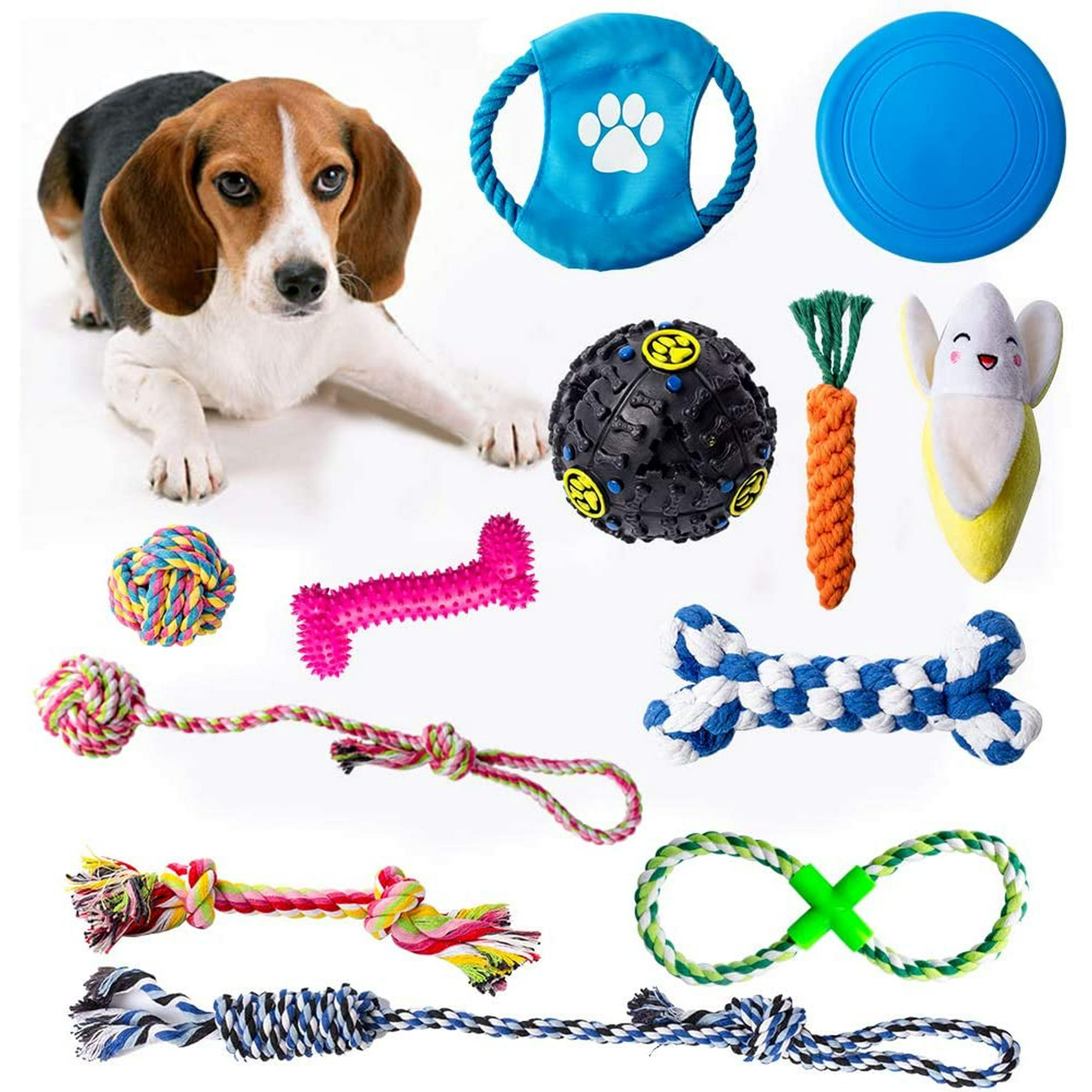 What Dog Has The Highest Iq