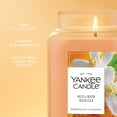 thumbnail image 3 of Yankee Candle Sugared Neroli Original Large Jar Scented Candles, 22 oz, 3 of 6