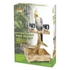 Penn-Plax Bird-Life Natural Wood Tree Perch for Small and Medium Birds, Brown