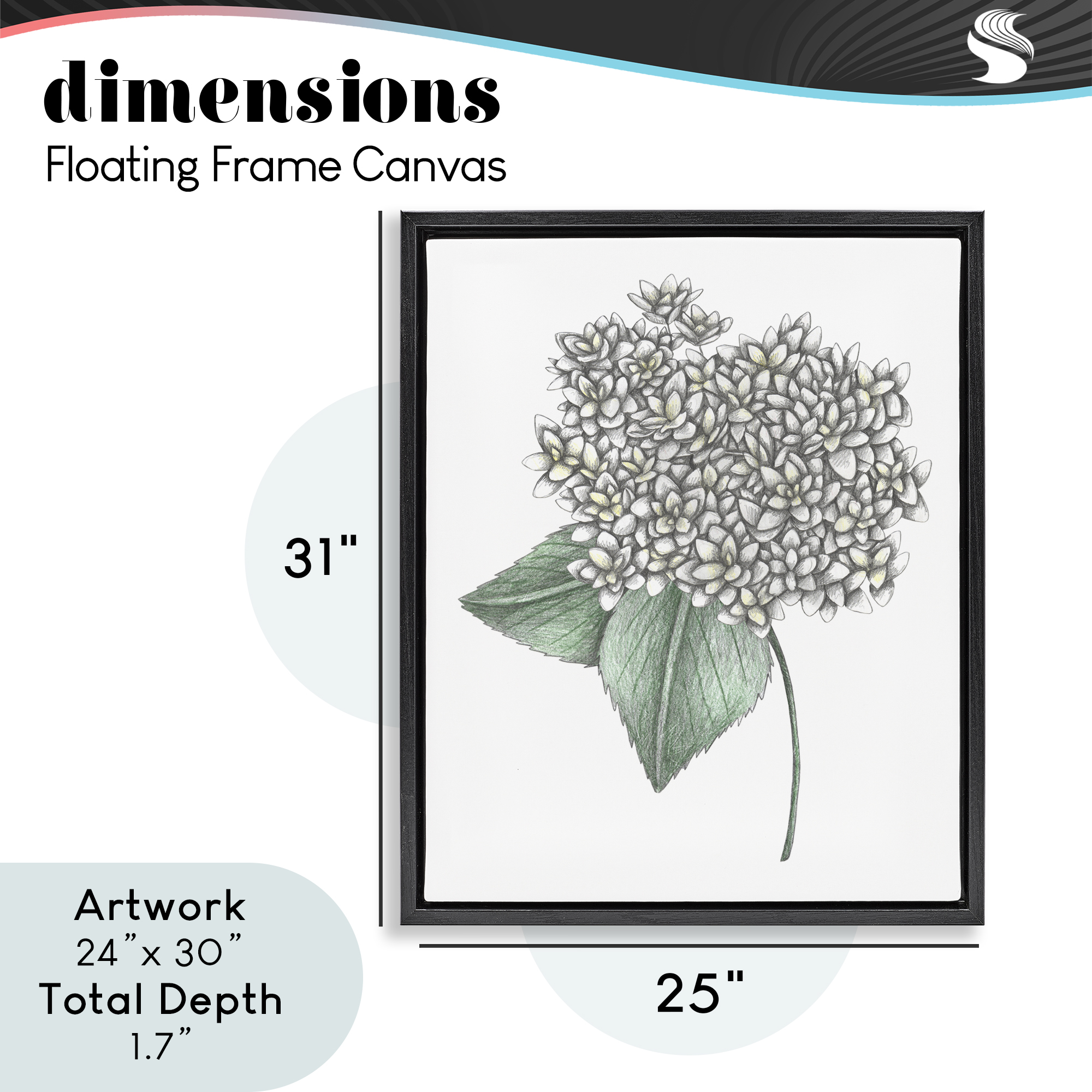 White Hydrangea Sketch Blossom Black Framed Floater Canvas Wall Art, design by Cecilia Battaini