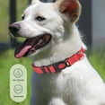 thumbnail image 6 of Aufmer 1 Pcs Reflective Dog Collar & Leash Set, Adjustable Nylon Pet Safety Gear with Locking Buckle, 59in(Red), 6 of 6