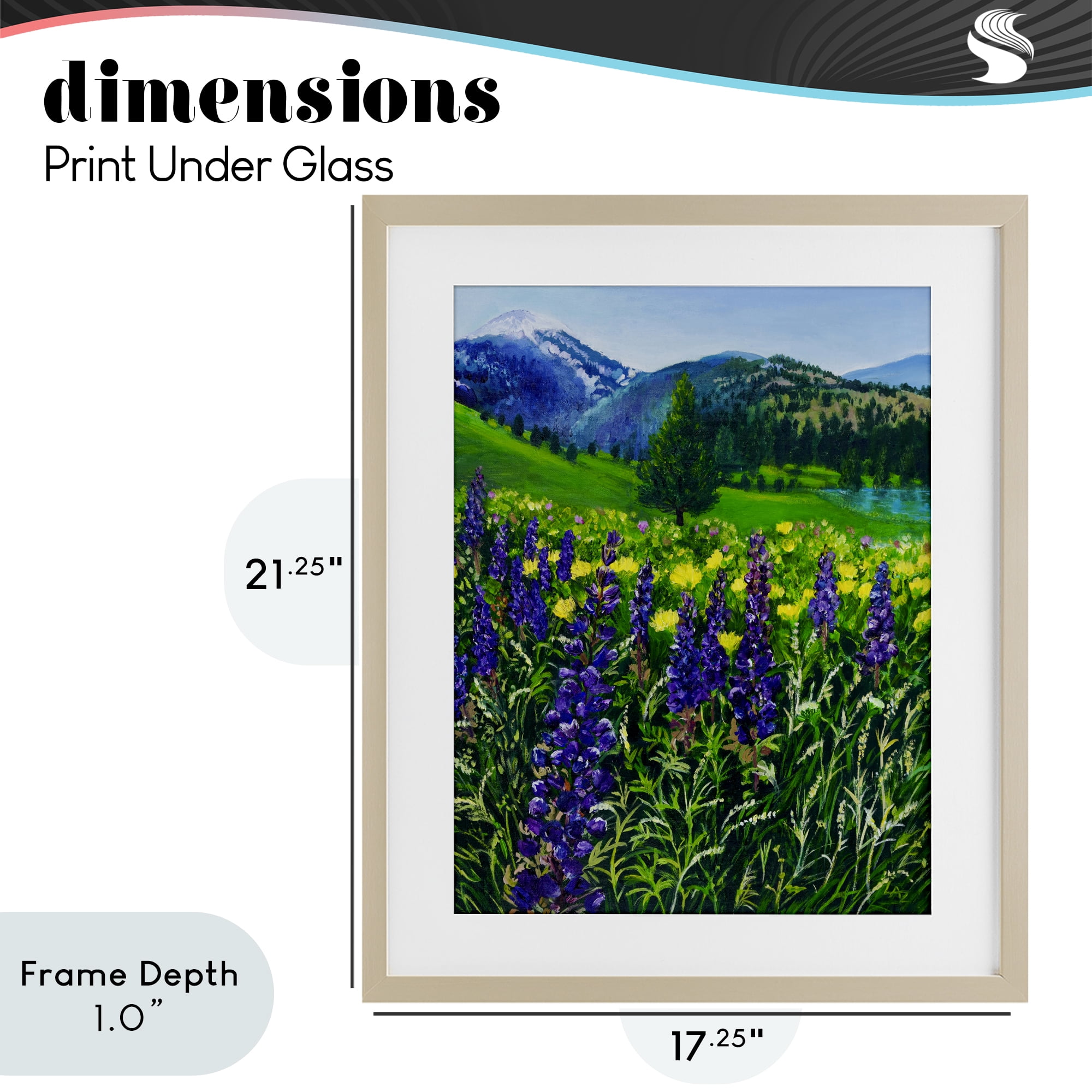 Stupell Industries Flower Speckled Valley Birch Framed Print Under Glass, design by Lee Ann Zirbes