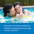 thumbnail image 3 of In The Swim Quick Clear Green - Turn Your Pool Water From Green and Cloudy To Sparkling Blue - 2 Pound 62008, 3 of 4