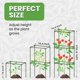 thumbnail image 2 of Cage para tomates K-Brands, paquete de 3, enrejado cuadrado de 104 cm, 2 of 8