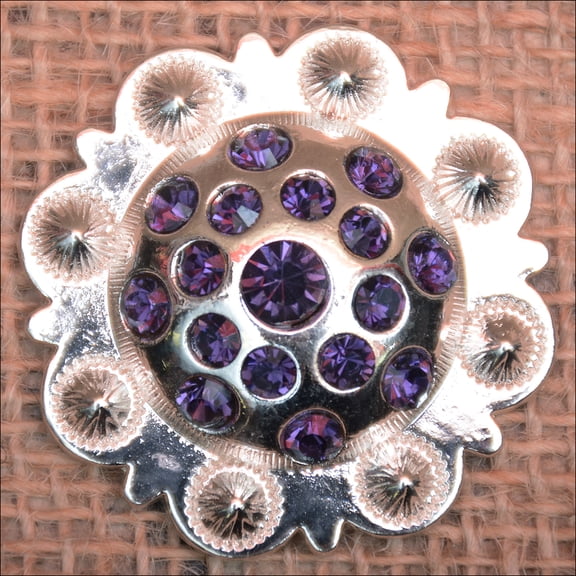 HILASON PURPLE RHINESTONE BERRY CONCHOS CRYSTALS HEADSTALL TACK COWGIRL 1.5 IN