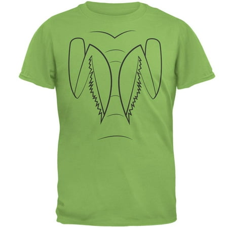 halloween praying mantis costume