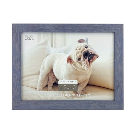 Studio Decor Home Distressed Blue Frame