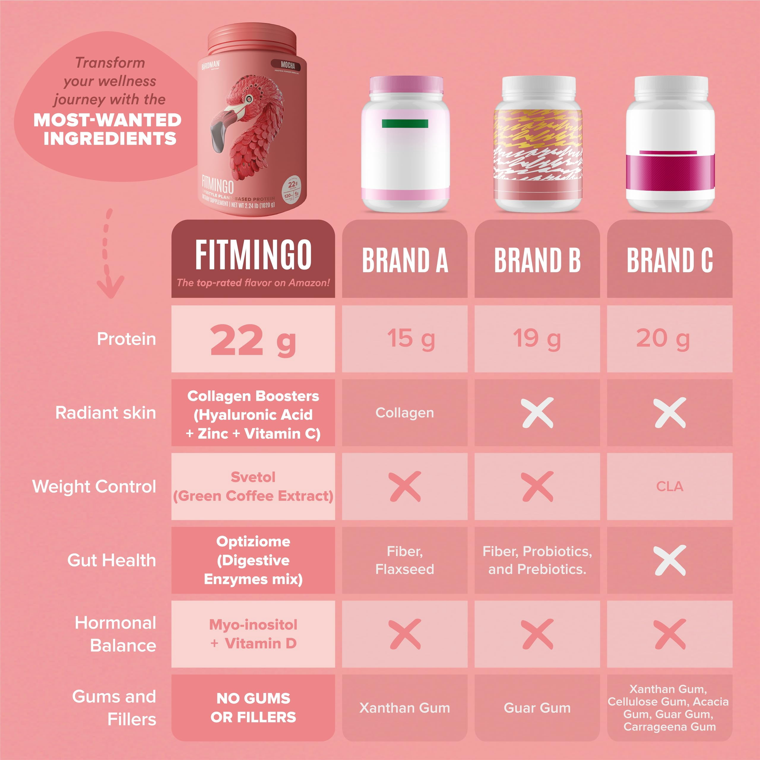 BIRDMAN Fitmingo Vegan Protein Powder with Inositol, 3 Blends, Mocha, 30 Servings, 2.24lb