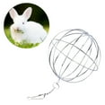 thumbnail image 2 of Gymnture Hanging Sphere Feed Dispenser for Small Pets (2pcs), 2 of 10