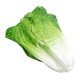 thumbnail image 1 of Lifelike Artificial Lettuce Decoration Made of PU Material for Home and Mall Decor, 1 of 5