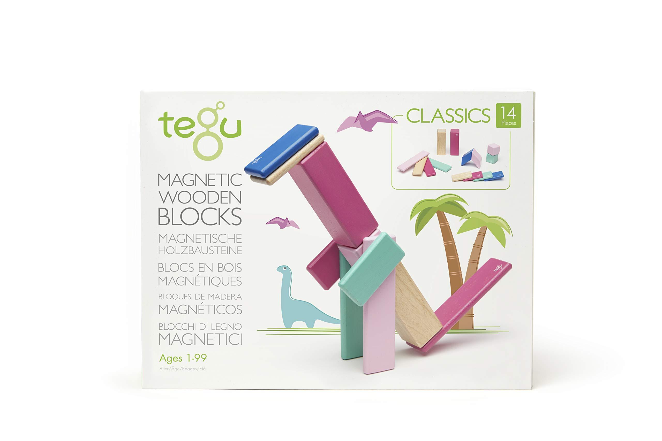 14 piece tegu magnetic wooden block set