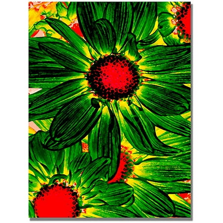 8 Mm Daisy - Trademark Fine Art
