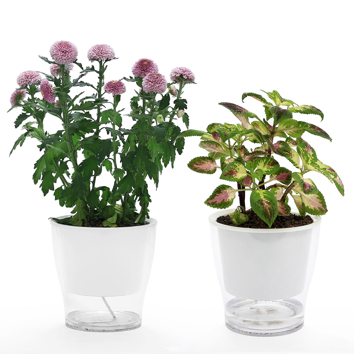 DeEFL 3 Packs 6.9 Inches Clear Self Watering Planters Large Plastic Self Watering Pots Wick Flower Pots for Indoor Plants Ocean Spider Plant Clear and White Orchid African Violet