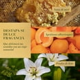 thumbnail image 4 of Crema para Peinar Herbal Essences Bío:Renew Manuka Honey & Aloe 300 ml, 4 of 5