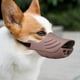 thumbnail image 1 of Dog Muzzle, Soft Duck Silicone Mouth Cover With Adjustable Strap For Small Medium Dogs, Best To Prevent Barking, Biting, And Chewing(coffee,m), 1 of 4