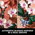 thumbnail image 3 of Icons Orchid 10311 Artificial Plant Set, Home Decor Christmas Gift, 3 of 4