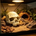 thumbnail image 4 of Cififendec Halloween Aquarium Skull Ornament, 3.93"×3.46", Plastic Hideout Cave for Fish Tank Reptile Terrarium Turtle Lizard Shrimp Hiding Decor, 4 of 6