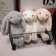 thumbnail image 2 of Peluche de conejo Lop para niños, muñeco de peluche suave con orejas largas, divertido compañero de dormir para bebé, decoración delicada del hogar, regalos, 2 of 5