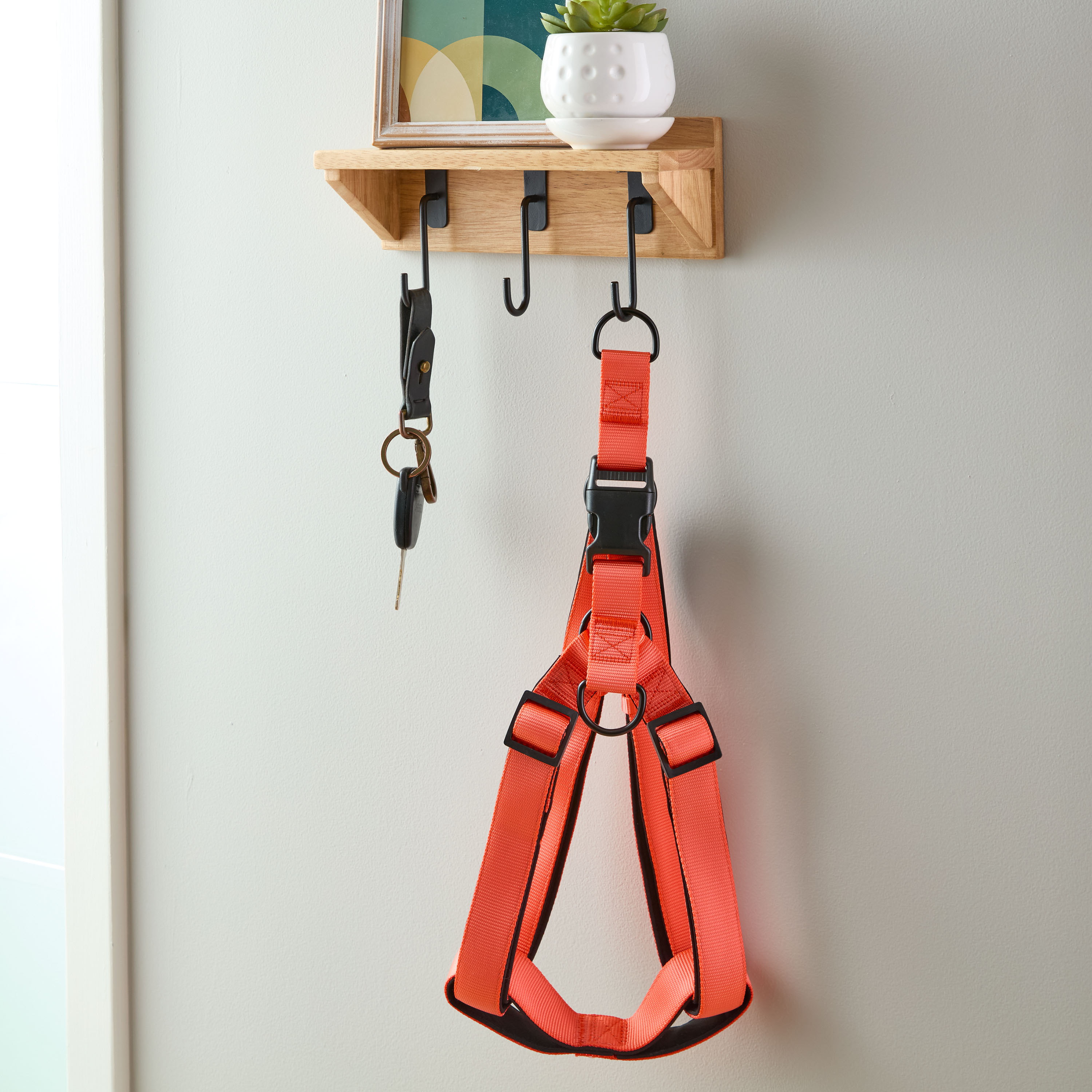 Vibrant Life Polyester Adjustable Step-in Dog Harness, Coral, S