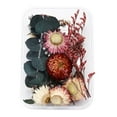 thumbnail image 1 of TIELUTT 1 Vraie Fleur Séchée Garnitures en Résine Fleurs en Pot Fleurs d'Automne Fleur Suspendue pour Extérieur Choux Roses Fleurs Fleurs pour Extérieur, 1 of 6