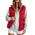 thumbnail image 3 of DYTTDG Women's Solid Color Stand Collar Puffer Vest, Full Zipper Sleeveless Outerwear With Side Pockets, Lightweight Casual Quilted Gilet for Fall Winter Daily Wear, 3 of 8