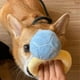 thumbnail image 2 of Caja de peluche de juguete, adorable mascota, cachorros interesados, juguetes suaves, perro de peluche para niños, K6j5, sonidos N7Q4, 2 of 8