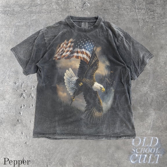 Bald Eagle Vintage 90s Graphic Style Tshirt, Retro American Flag Faded T-Shirt, Nature Y2k Streetwear, Patriotic USA Shirt