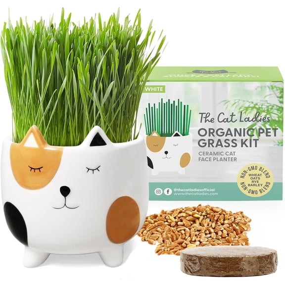 The Cat Ladies Cat Grass for Indoor Cats, Cat Grass Growing Kit with Organic Cat Grass Seed Mix, Soil and Ceramic Cat Planter, Pet Grass for Cats, Natural Hairball Remedy, Cat Gifts