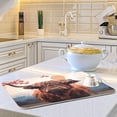 thumbnail image 6 of Highland Cow Dish Drying Mat, Absorbent Microfiber Pad Protector For Kitchen Counter Top Mat Dish Drainboard 16x18in Home Decor, 6 of 7