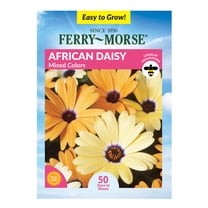 Ferry-Morse African Daisy Mixed Colors Annual Flower Seeds for Full Sun, USDA Zones, Ideal for Vibrant Garden Displays