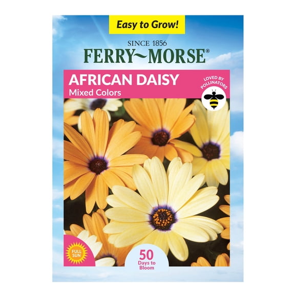 Ferry-Morse African Daisy Mixed Colors Annual Flower Seeds for Full Sun, USDA Zones, Ideal for Vibrant Garden Displays