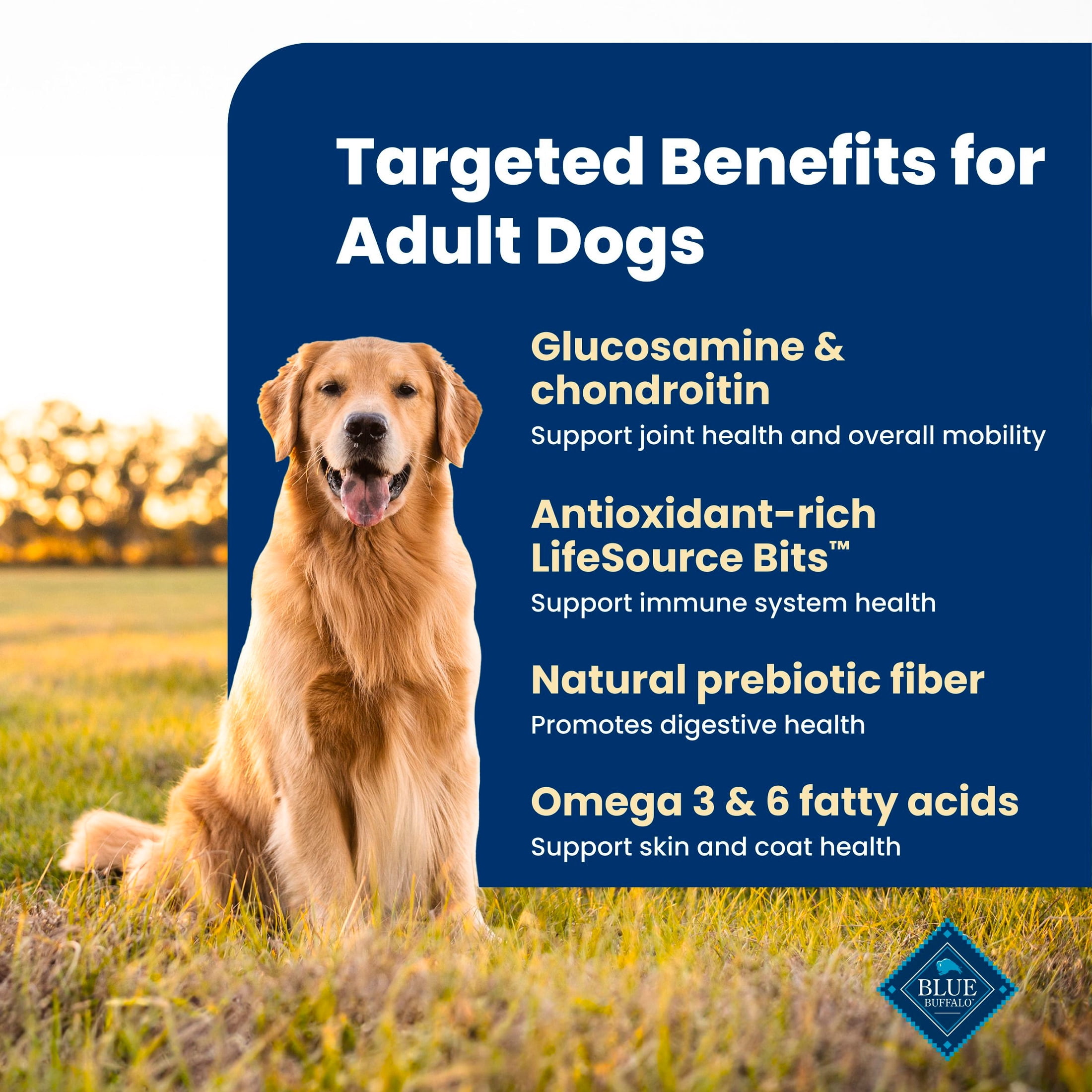 (3 pack) Blue Buffalo Life Protection Formula Adult Dry Dog Food Beef & Brown Rice 5lb Bag