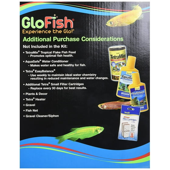 glofish 5 gallon aquarium