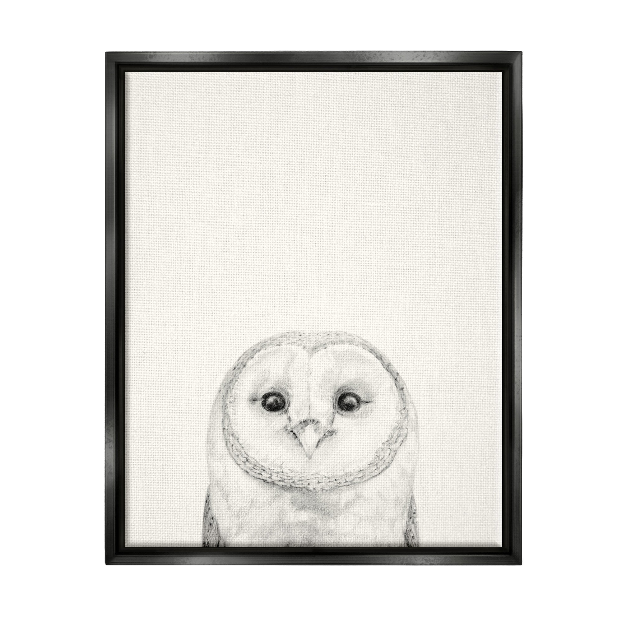 Stupell Industries Owl Portrait Grey Drawing Design Jet Black Framed Floating Canvas Wall Art, 24x30, by Victoria Borges