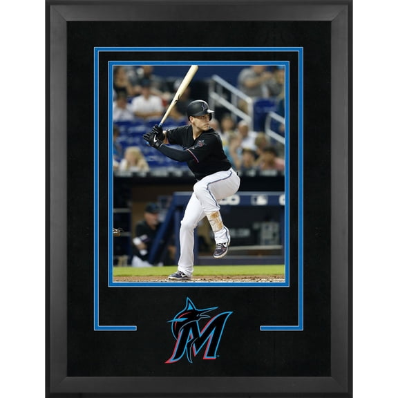 Miami Marlins Deluxe 16" x 20" Vertical Photograph Frame