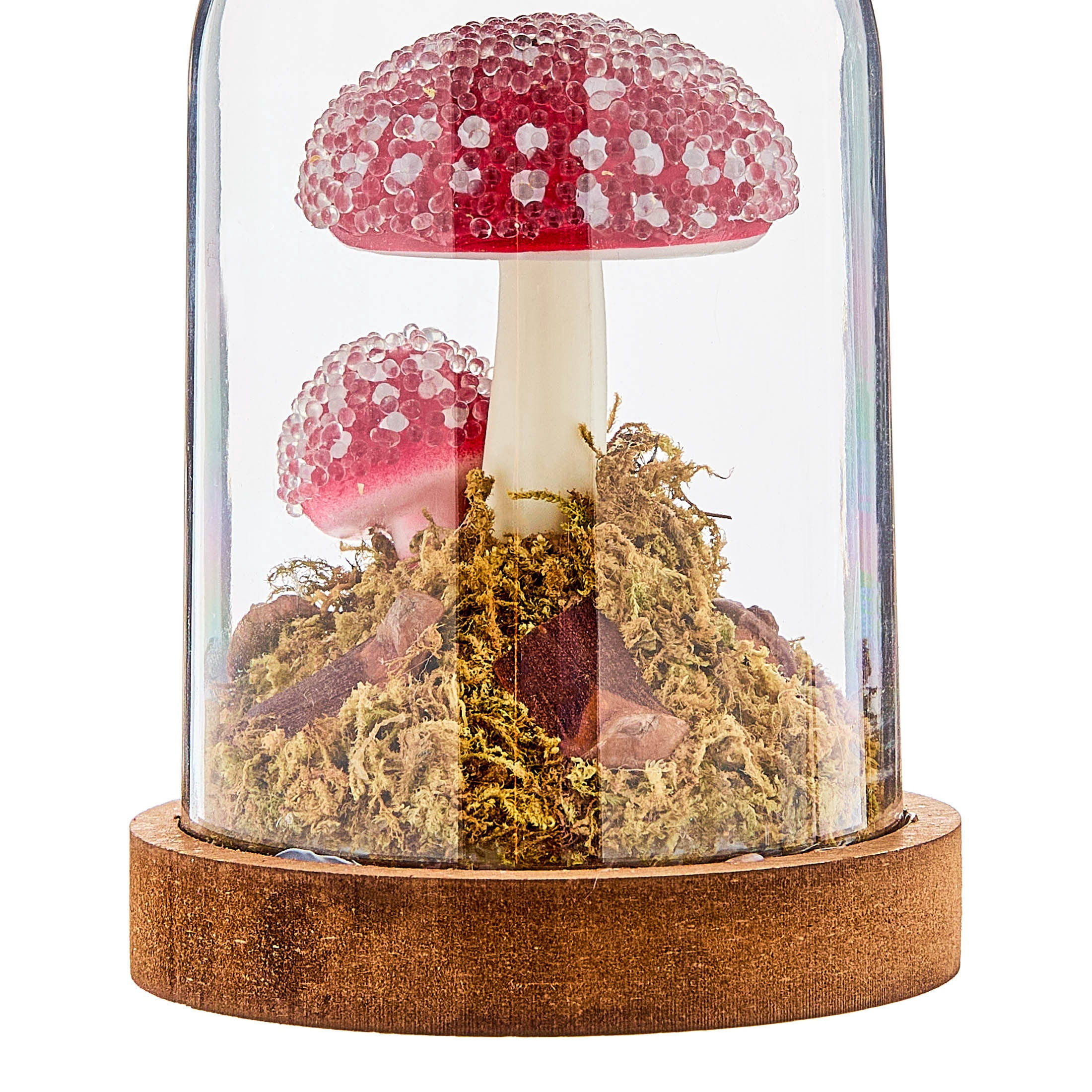 Red/White/Brown Mushroom in Dome Christmas Ornament, 6", by Holiday Time