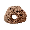 thumbnail image 4 of Brown Lava Rock Porous Aquarium Plant Holder Decorative Rock for Water Plants Great Gift for Plant Lover Volcanic Rock Pot for Aquarium Garden Decor Indoor and Outdoor Use, 4 of 8