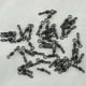 thumbnail image 3 of Cojinete de pesca giratorio en forma de Q accesorios giratorios para carpa 50 Uds., 3 of 5