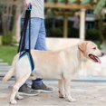 thumbnail image 4 of WE-POLUJ Large Canine Hip Support Slings Supportive Dog Rear Leg Harnesses with Handle, 4 of 18