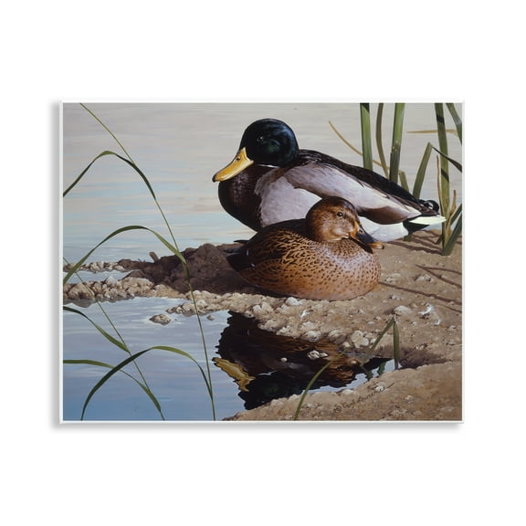 Stupell Industries Two Ducks Water's Edge Animals Painting Unframed Art Print Wall Art, 14 x 11