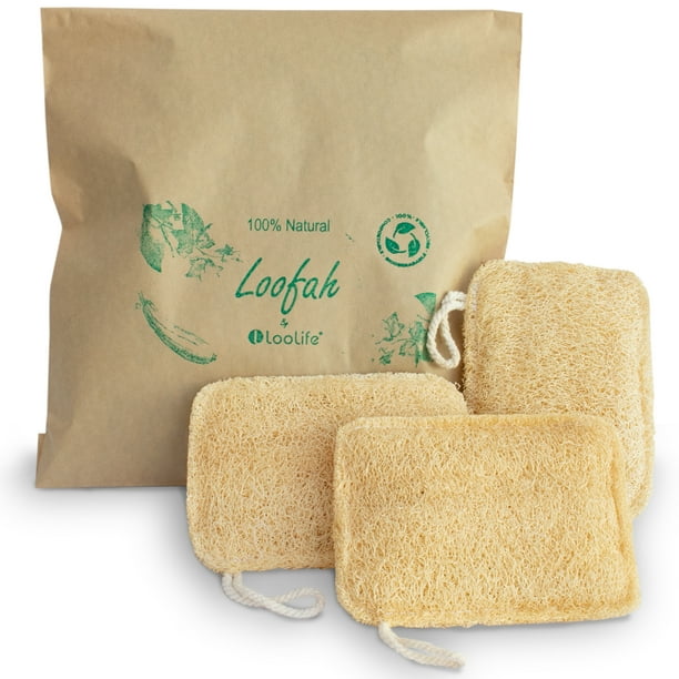 100 Natural Loofah Exfoliating Sponge (3 Pack) Biodegradable Compostable Loofah Body Scrubber