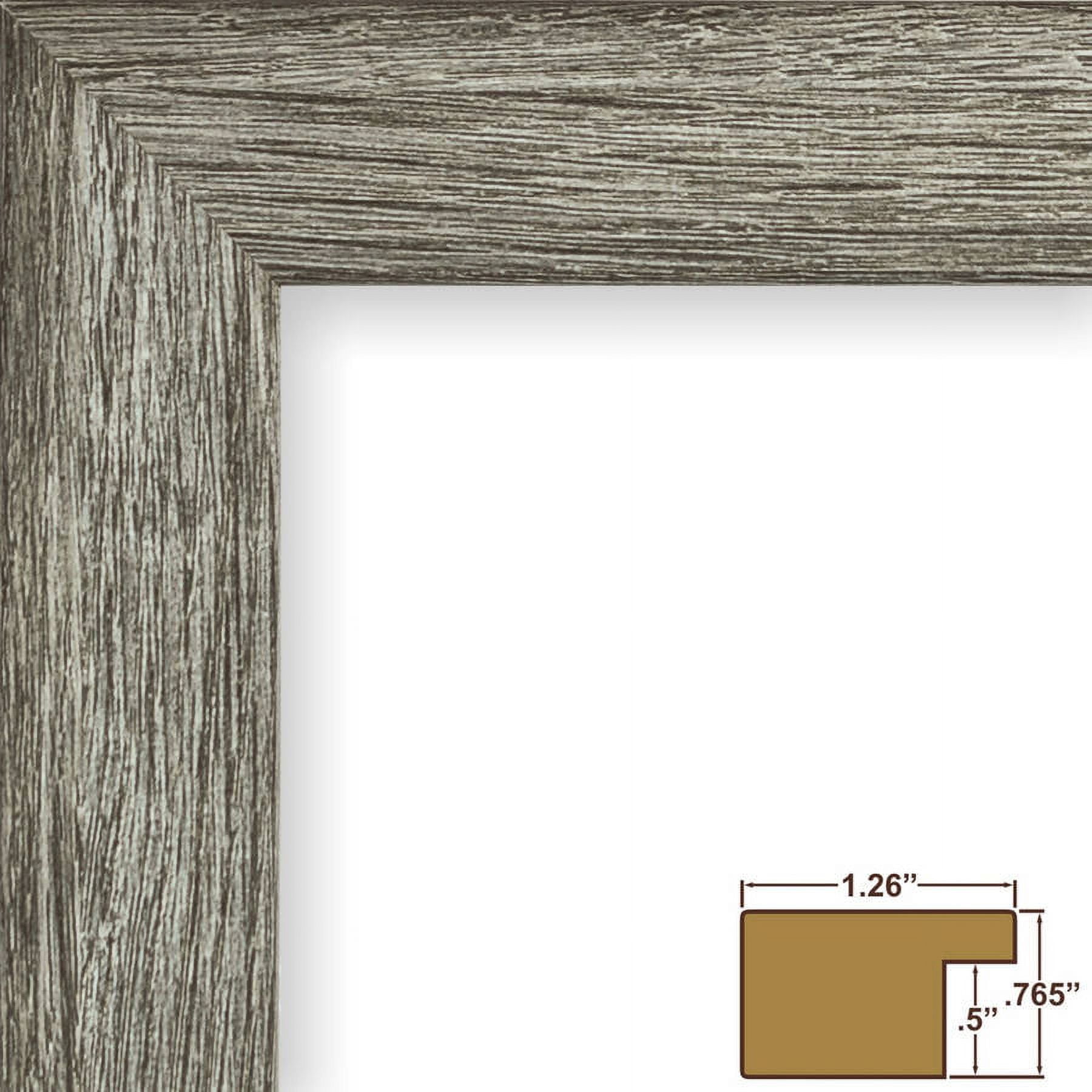 Craig Frames Bauhaus 125, 18 x 24 Inch Picture Frame, Rustic Gray Barnwood
