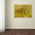 thumbnail image 3 of Van Gogh 'Quinces Lemons Pears And Grapes' Canvas Art, 3 of 3