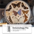 thumbnail image 2 of 100 piezas de especímenes de insectos de acero inoxidable para disección entomológica escolar - n.° 0 (plata), 2 of 6
