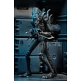thumbnail image 5 of NECA - Alien- 7 Scale Action Figures - Ultimate Warrior - (1986) Blue Alien, 5 of 5
