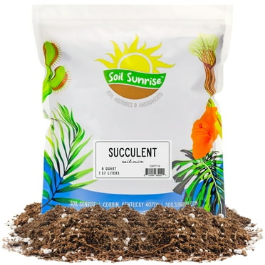 Succulent Potting Soil Mix (8 Quarts), Hand Blended Fast Draining Soil Potting Mix for Succulents