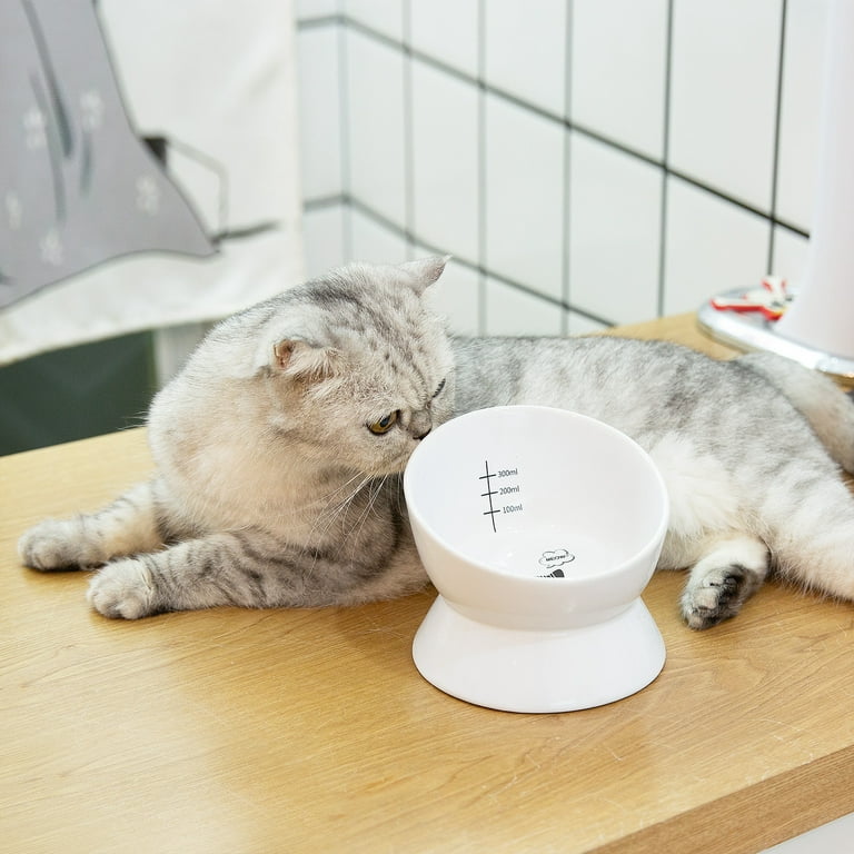 Yangbaga Elevated Ceramic Cat Bowl Review - What You'll Get